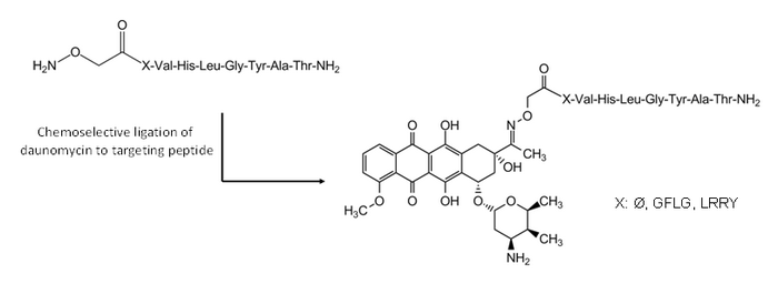 bioconjugates